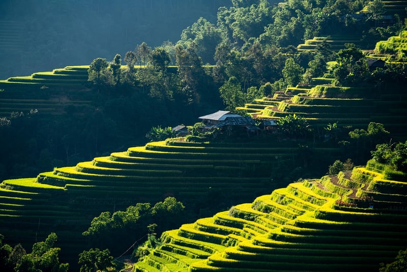 Apartment with smart storage solutions